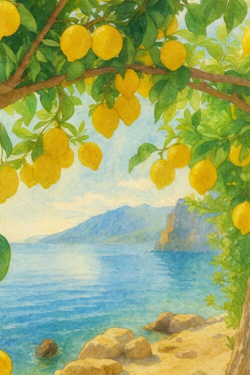 ΛΟΣΙΟΝ ΠΡΟΣΩΠΟΥ