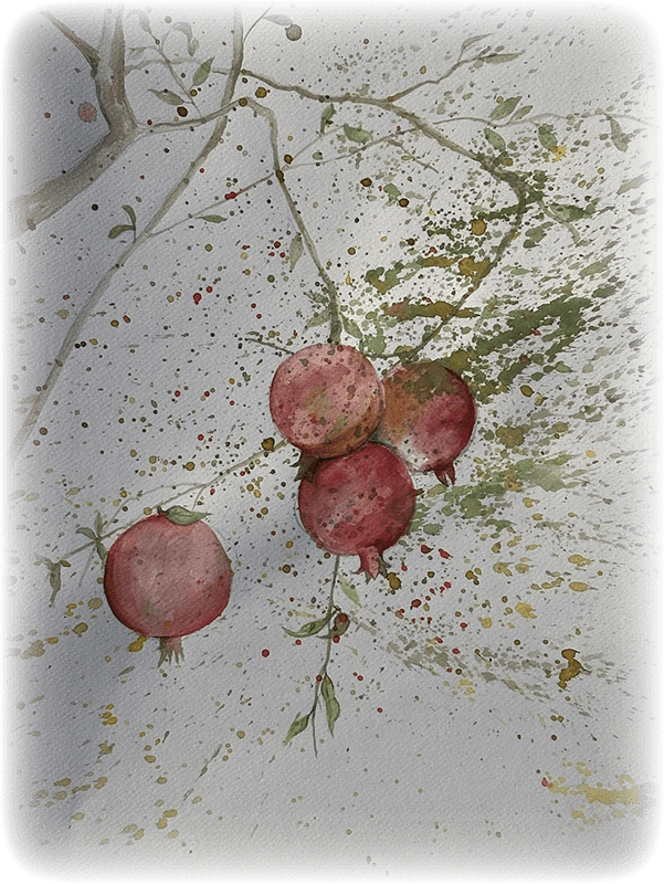 selini philosophy 2.jpg